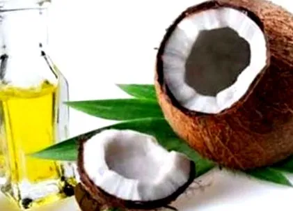 cocos cocos