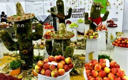 expoziții