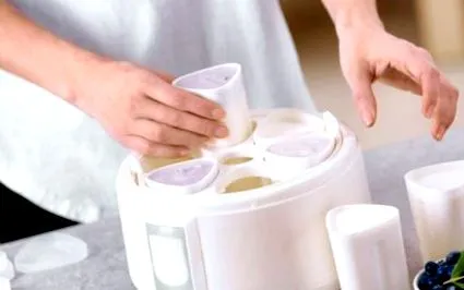 yogurt