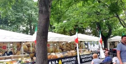 седмицата