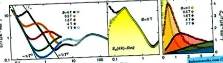 demagnetizare