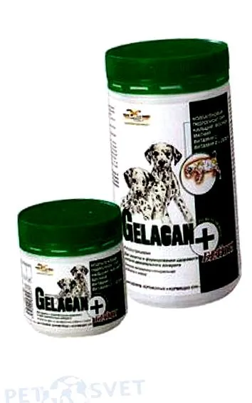 gelacan