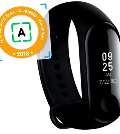 xiaomi Xiaomi Band