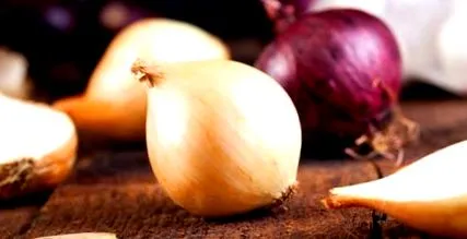 ceapa durerile
