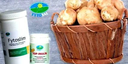 nutritive nutritive