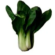 varză-choy