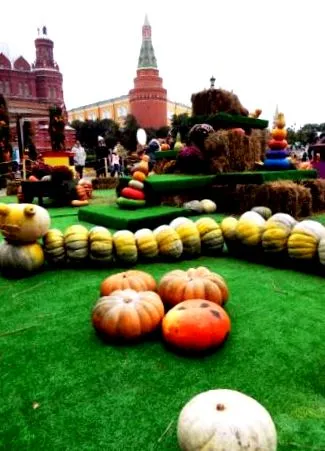 производители храни москва