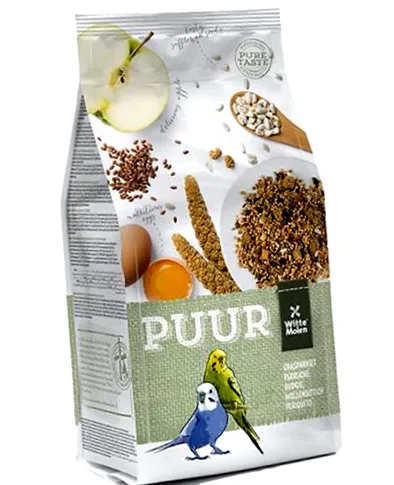 pentru pisici