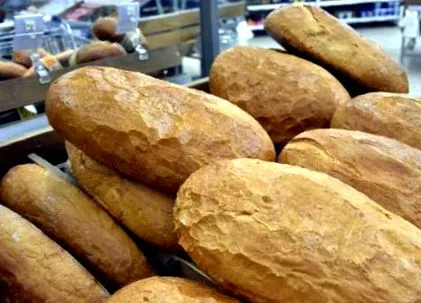 gabonafélék gabonafélék