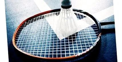 badminton toate acestea