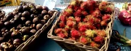 pentru simțurile