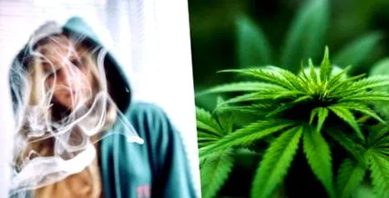 corpului marijuana