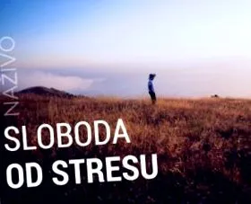 какви