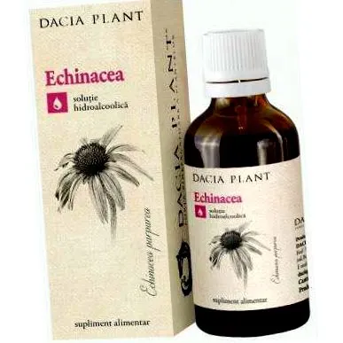echinacea echinacea