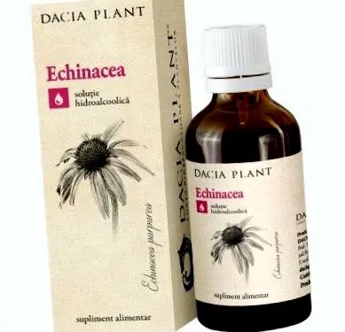 Dacia Plant Dacia Plant
