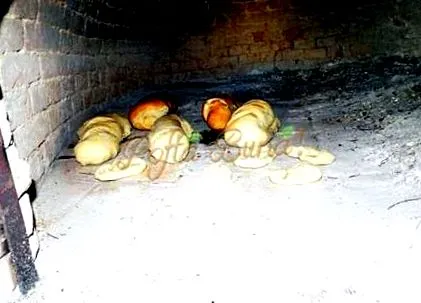 gombával