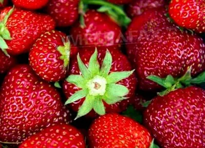каков спречи