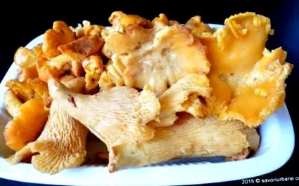 pörkölt