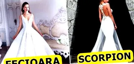 magazin magazin