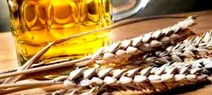 boala alcool