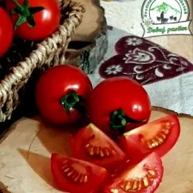 babindol roșiile Babindol