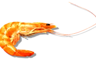 chitosan asemenea hipertensiunea