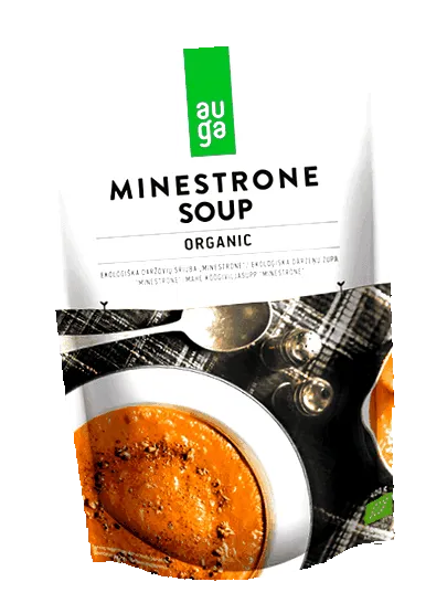 ciorba minestrone