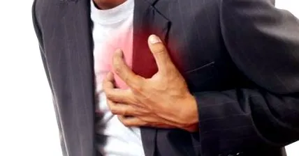 pectorală