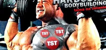 musculare liber