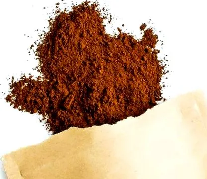 chaga