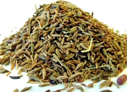 lupți lupți