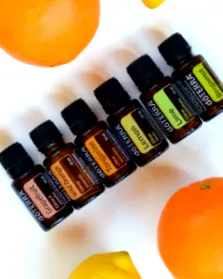 doterra sălbatică