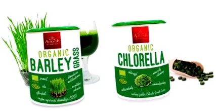 chlorella