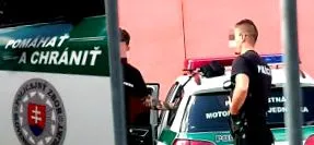 свали