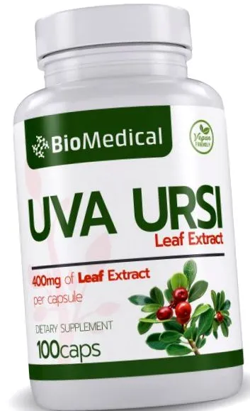 ursi Arctostaphylos uva-ursi