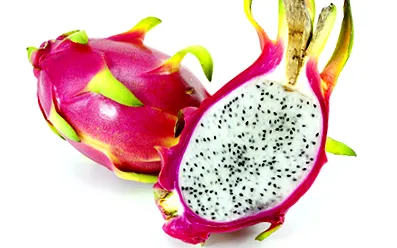 fructul