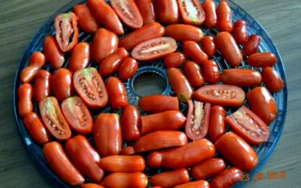 casă