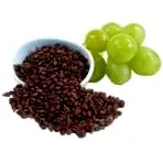 stea
