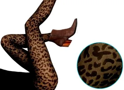 gatta