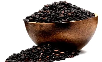 ориз