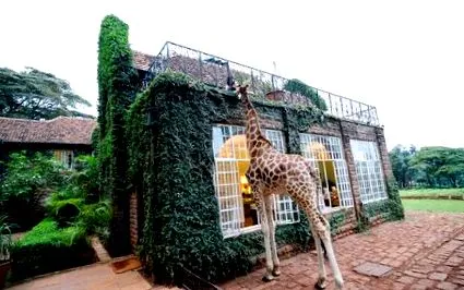 hotel hotel