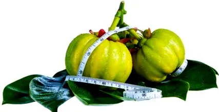 cambogia
