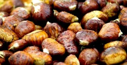 fructe