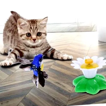 батерия Които включени