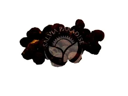 oxyacantha 100g