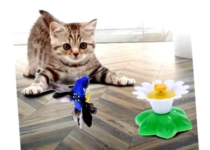 батерия Които включени