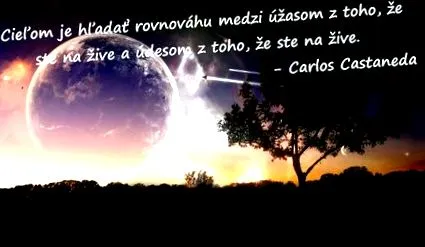 utilizare