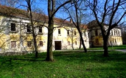 šintava care