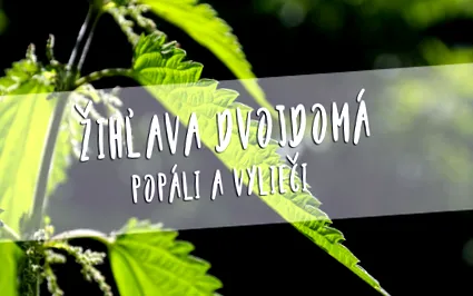vindecare toate acestea