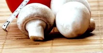 prezintă dieta